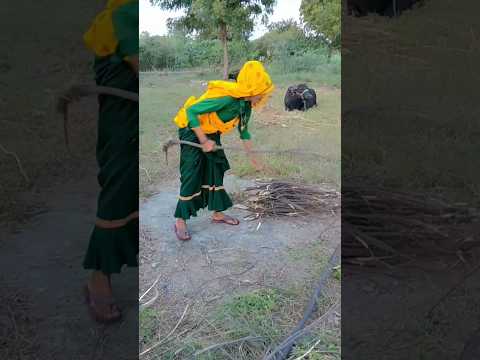 #meenageet #singerkrdevtanewsong2025  #manraj_diwana #shortsfeed #shorts #dance #yt