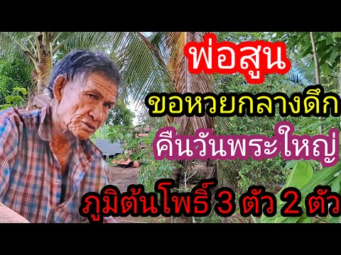 พ่อไสวพารวย.. channel กำลังถ่ายทอดสด! พ่อศูนย์ขอหวยวันพระใหญ่