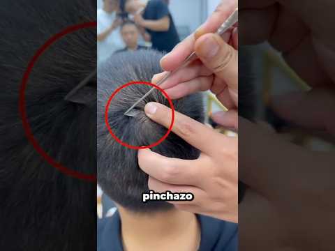 Este peluquero descubrió algo extraño en su cabello 😮