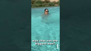 “Those aren't the bees you die from… right?” 💀🐝 #kourtneykardashian #kuwtk