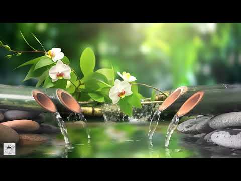 Relaxing music and water sounds help relieve anxiety and restlessness 🌿 Reduce stress