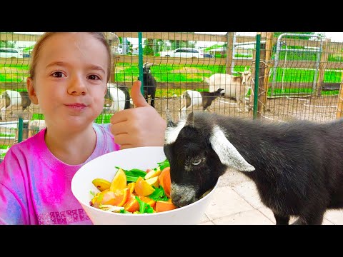 Animals Feeding Song | Nursery Rhymes with Anabella and Bogdan