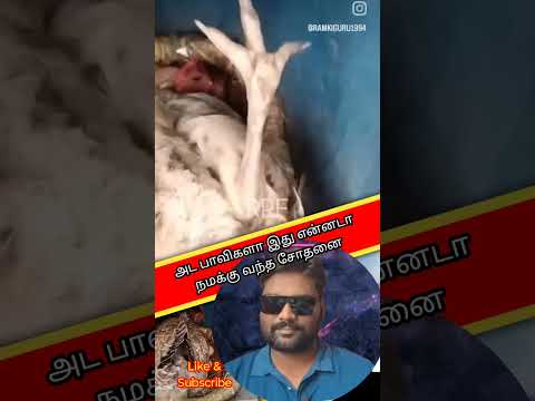 அட பாவிகளா இது என்னடா நமக்கு வந்த சோதனை Revanth React Fact RRF | Reaction video | Raabi #trending
