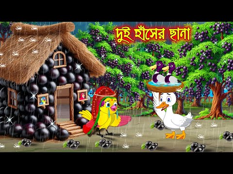 দুই হাঁসের ছানা | Dui Haser Chana | Bangla cartoon  | moral stories | Pakhir Golpo | Tuntuni Golpo
