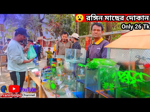 Aquarium price in Bangladesh 2025 🐠 aquarium fish price in Bangladesh/low price aquarium