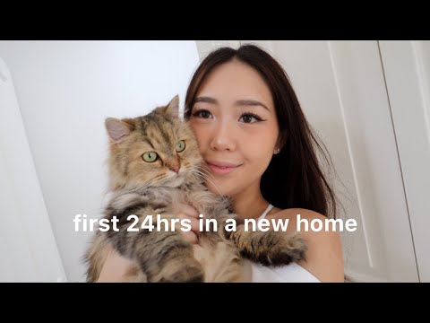 my cat's first 24 hours in our new home