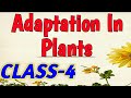 Plant Adaptations in Various Environments