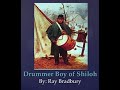 Themes and Characters in 'The Drummer Boy of Shiloh'