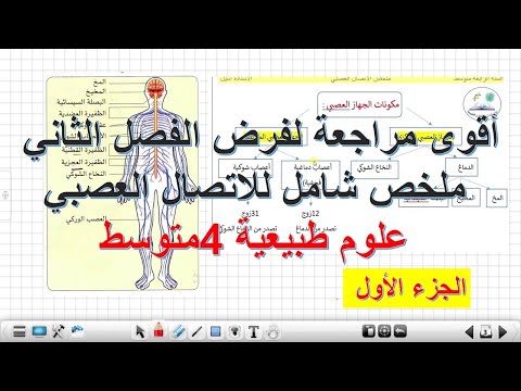 أقوى مراجعة لفرض الفصل الثاني🦾 وملخص شامل لدرس الاتصال العصبي علوم طبيعية 4 متوسط 🧠الجزء الأول