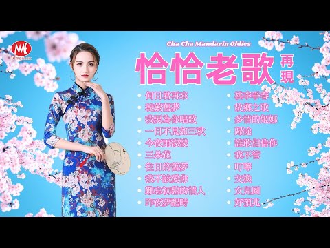 【恰恰老歌再現】何日君再來｜魂縈舊夢｜我要為你唱歌｜一日不見如三秋｜今夜雨濛濛｜三朵花｜往日的舊夢｜我不該愛你｜難忘初戀的情人｜昨夜夢醒時 Cha Cha Mandarin Oldies (歌詞版)
