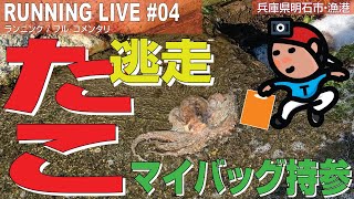 【探索ラン#04】漁港より たこ逃走 → マイバッグ持参  兵庫県明石市 林崎漁港【フル･コメンタリ】