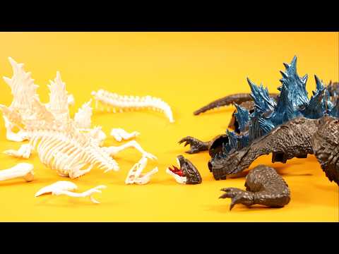 Godzilla skeleton model kits & Godzilla x Kong: The New Empire figure