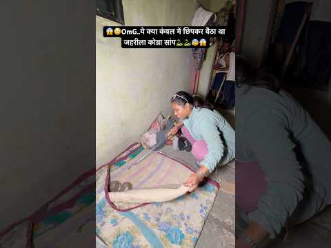 रात के समयं कंबल में घुस बैठा जेहेरीला कोब्रा सांप😱😳😰🐍🐍🙏🏻 #snake #cobra