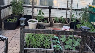 My  Little Garden 2026