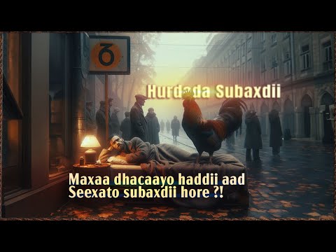 Maanta ka dambe Ma Seexan Doontid Subaxdii Hore | Sababta waa midaan .