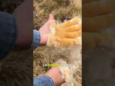 NO lo muerdas si te dan esto 😳 #shorts