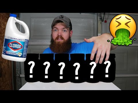 I Left 5 Different Foods In Bleach For a Month!