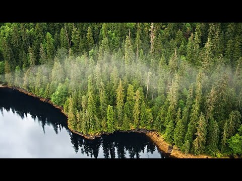 YouTube video thumbnail: SEACC Holds ‘Public Hearings’ on Tongass Roadless Rule as Federal Process Moves Ahead 