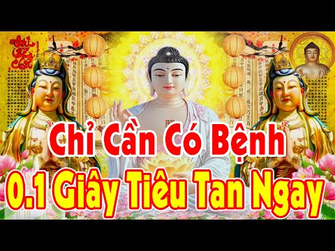 Bệnh Tật Khổ Đau Đừng Sợ Nghe Kinh Cầu An TÂM SÁNG NHƯ GƯƠNG Nhẹ Lòng Tiêu Tan Mọi Lo Âu Ngủ Ngon