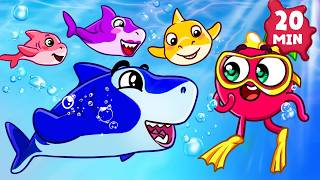 🦈😨 New! Baby Shark Doo Doo Doo 🌊🎶 Don't Be a Bully! 🥑 Kids Songs & Nursery Rhymes | PP Tales #kids