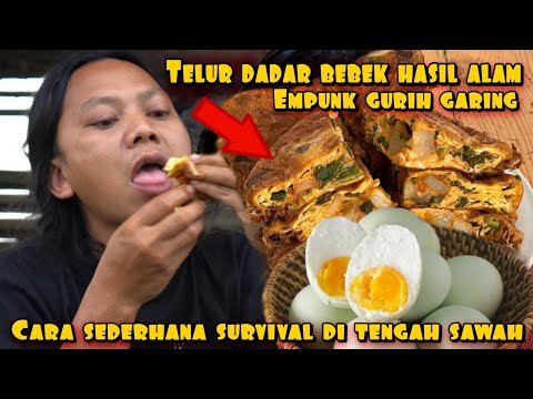 GORENG TELUR DADAR BEBEK HASIL ALAM