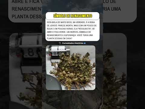 Ela Ressuscita Depois de Seca #curiosidades #mistérios