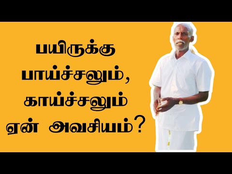 காய்ச்சலும் பாய்ச்சலும் என்றால் என்ன...?மெய்ப்பொருள் காண்பது அறிவு... #ஞானப்பிரகாசம்