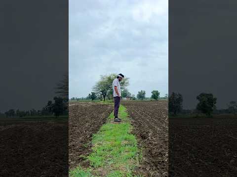 Soyabean me nukshan 🙂🌱 || #farmerlife #minivlogs