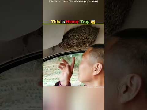 This is Bees Trap 😱 | पहली बार देखोगे ये | #shorts #animals #life