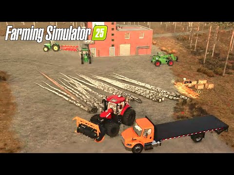 Building a Mega Farm Out of a Forest #3 PineWood Forest | Hard Mode Farming Simulator 25 Time Lapse