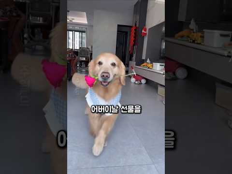 어버이날 선물로 꽃을 준비한 귀여운 댕댕이