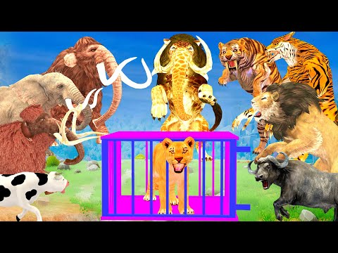 5 Giant Elephant Cow vs 5 Giant Tiger Wolf Monster Lion Attack Lion Cub Saved by Woolly Mammoth