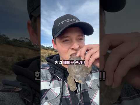 해변에서 발견한 젤리, 절대 만지지 마세요❌😱