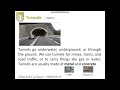 Understanding Tunnels
