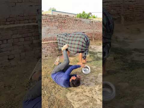 Funny cow prank 🤣 #trending #funny #comedyfilms #comedy #comedymovies #bwnproduction #comedyvideos