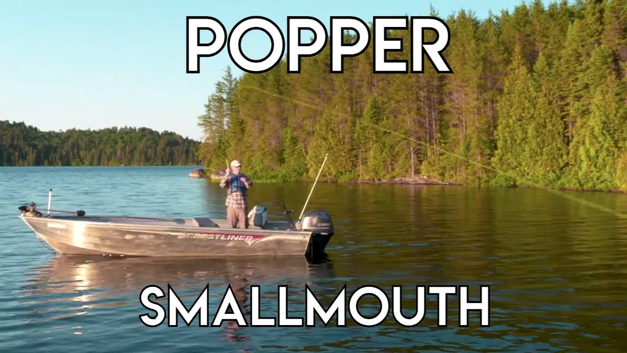 Crazy Popper Action - Smallmouth Bass - The New Fly Fisher