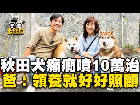 秋田犬領養2個月癲癇發作！醫療費噴6位數  爸霸氣：領養了就要好好照顧@cosmosviral