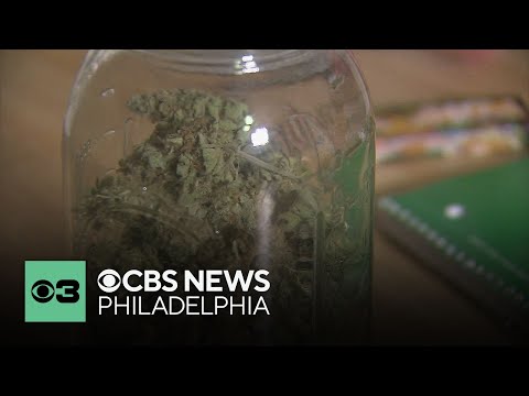 YouTube video thumbnail: State Senator Introduces Bill That Would Legalize Recreational Marijuana in Pennsylvania