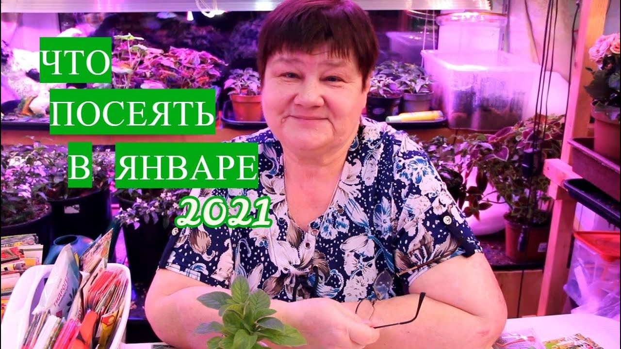 Не упустите время! Что посеять в январе. 2021