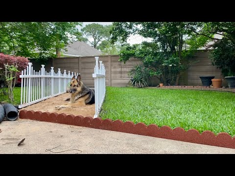 Backyard Renovation Part 7 | This Indian