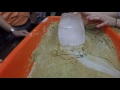 Glacier Dynamics and Features