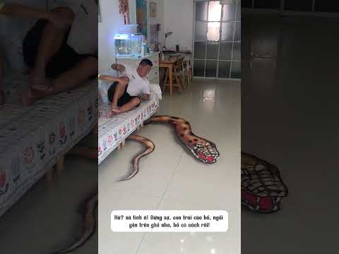 Hai bố con phát hiện Xà Tinh trong nhà