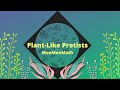 Understanding Plant-like Protists
