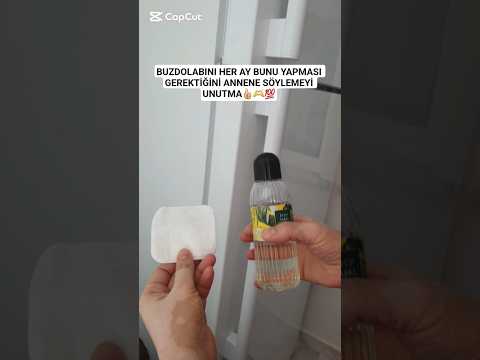 💯BUNU HERKES ÖĞRENMELİ#viralshort #kesfeteyyiz #viralvideo #cat #shortsfeed #shortsvideo #tiktok