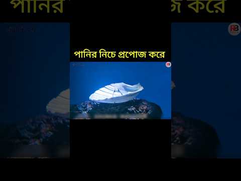 পানির নিচে প্রপোজ করে #youtubeshorts #shortsviral #shortvideo #viralvideo #viralshort