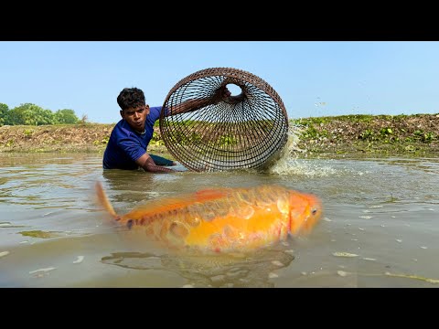 Unbelievable Fishing || The Village Boy Catching Fish By Bamboo Tools Polo From Beautiful Nature