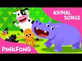 Animal Dance Moves and Actions