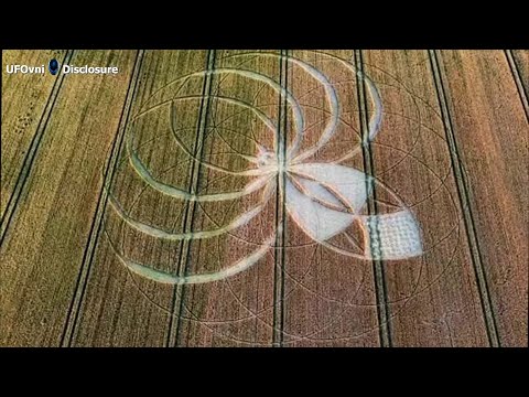 Une formation de culture Araignée extraterrestre découverte en Angleterre