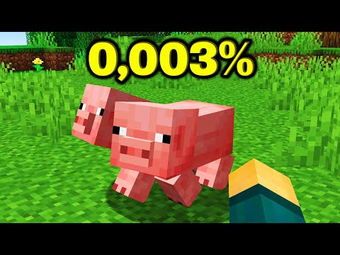 Die SELTENSTEN DINGE in MINECRAFT (0,003%)