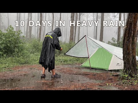 SOLO CAMPING IN POURING RAIN - RELAXING RAIN SOUNDS IN THE TENT ASMR